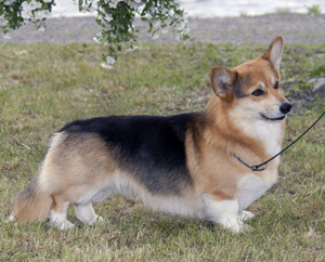 Finny